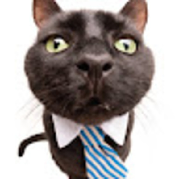 Meet your Posher, Bella - Picture 1 of 1